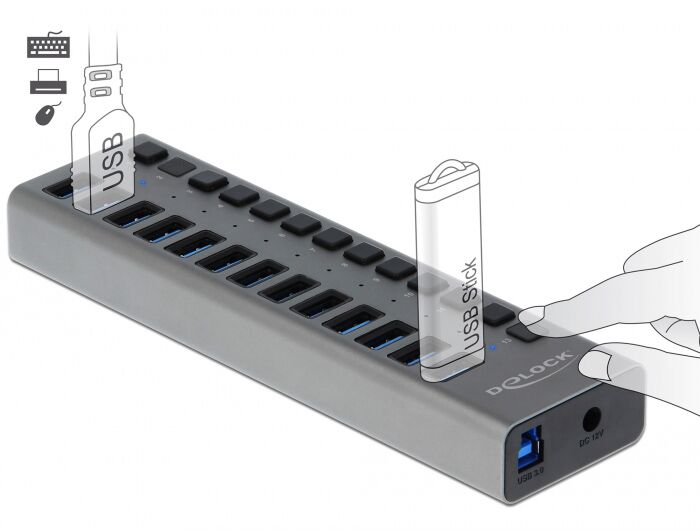 DELOCK USB hub 63738 με διακόπτες, 13x θυρών, 5Gbps, γκρι - Image 2