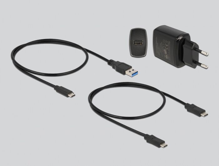 DELOCK docking station για M.2 SATA SSD 64178, 2 θέσεων, 6Gbps, clone function, μαύρο - Image 4