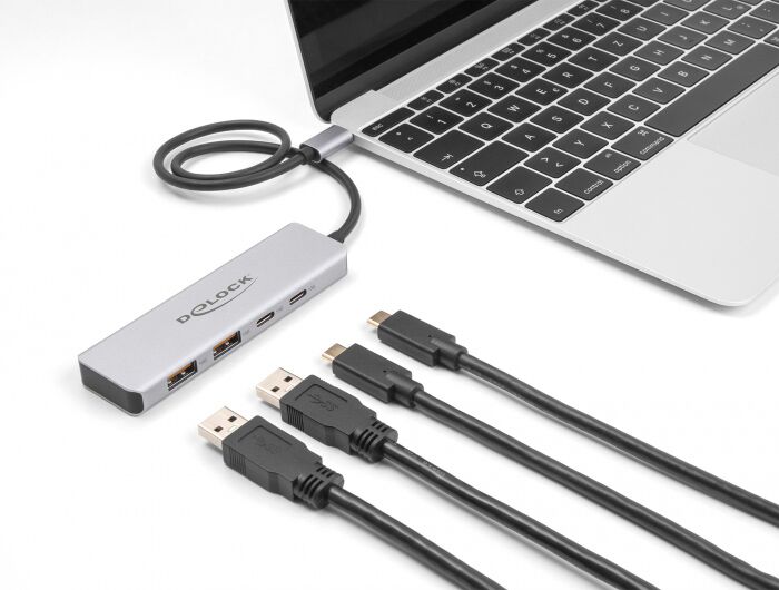 DELOCK USB hub 64230, 4x θυρών, 10Gbps, USB-C σύνδεση, γκρι - Image 2